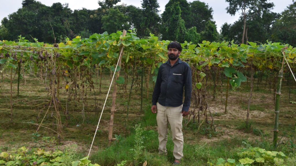 livelihood